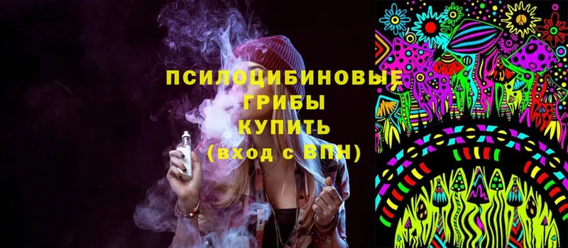 Псилоцибиновые грибы Psilocybine cubensis  Сафоново 